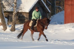 Ulrika och