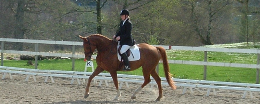 lina1a_900x360.jpg