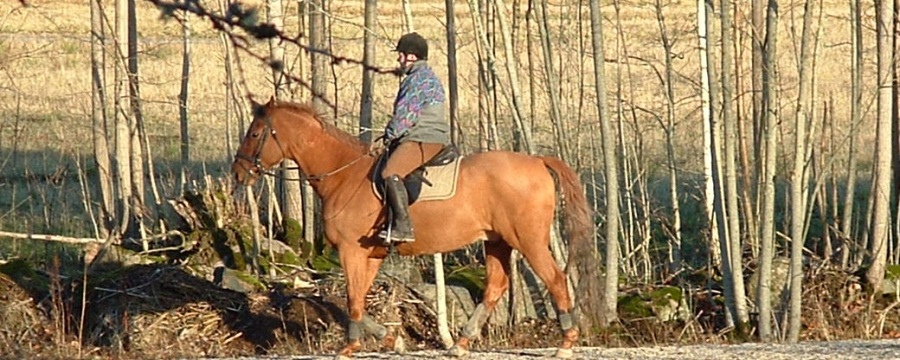 mans2a_900x360.jpg