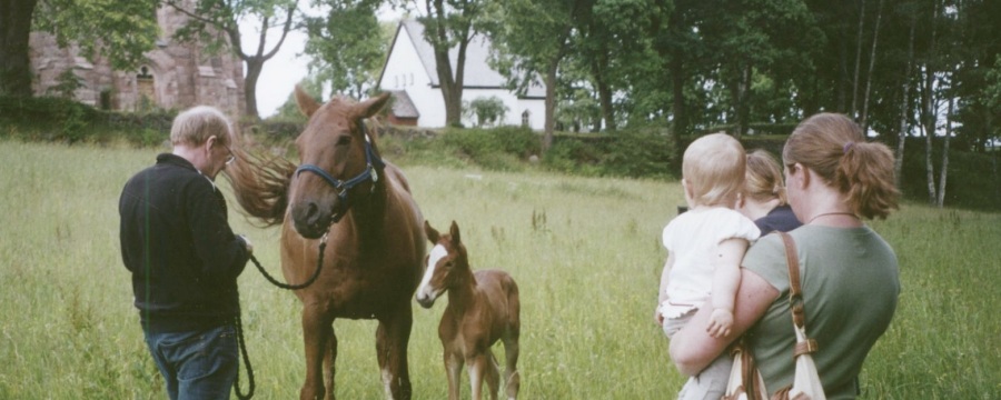 wilma_3_900x360.jpg